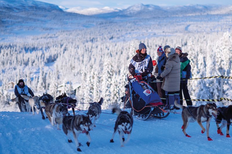 MUSH Synnfjell og Synnfjell Rundt 2019 er historie